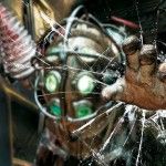 bioshockcollectionwallpaper1