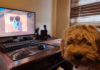 Pupperazzi, reviewed by an actual puppy – PC Gamer