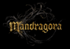 The dark, epic fantasy of Mandragora revealed for PC and console – TheXboxHub