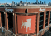 Zynga Plans First NFT Games, Web 3 Acquisitions in 2022 – CoinDesk