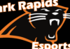 Park Rapids Esports club OKed to hold raffle – Park Rapids Enterprise