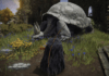 Elden Ring pope turtle location – PC Gamer