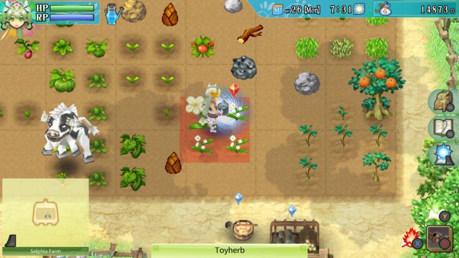 Watering some crops in a field in life game rune factory 4