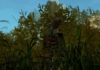 Elden Ring player spends hours hiding in a bush to hose an AFK farmer – PC Gamer