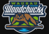 Large party reservations for Woodchucks games filling fast – WSAW