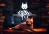 STRAY debuta en Steam con un 97% de Críticas Positivas y un Pico de 62.963 Usuarios – Trailer de Lanzamiento