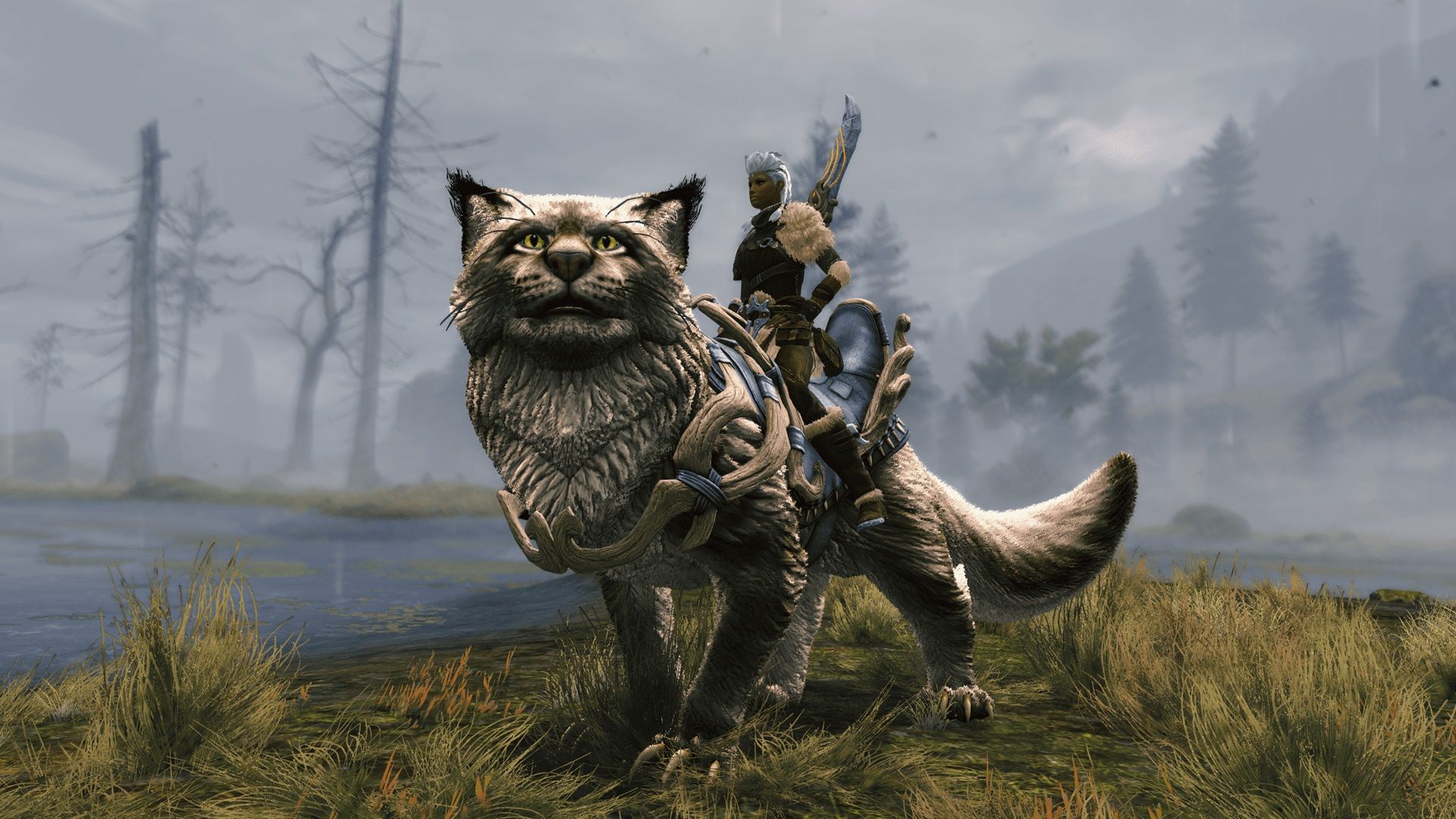 GW2_JW_PR_05