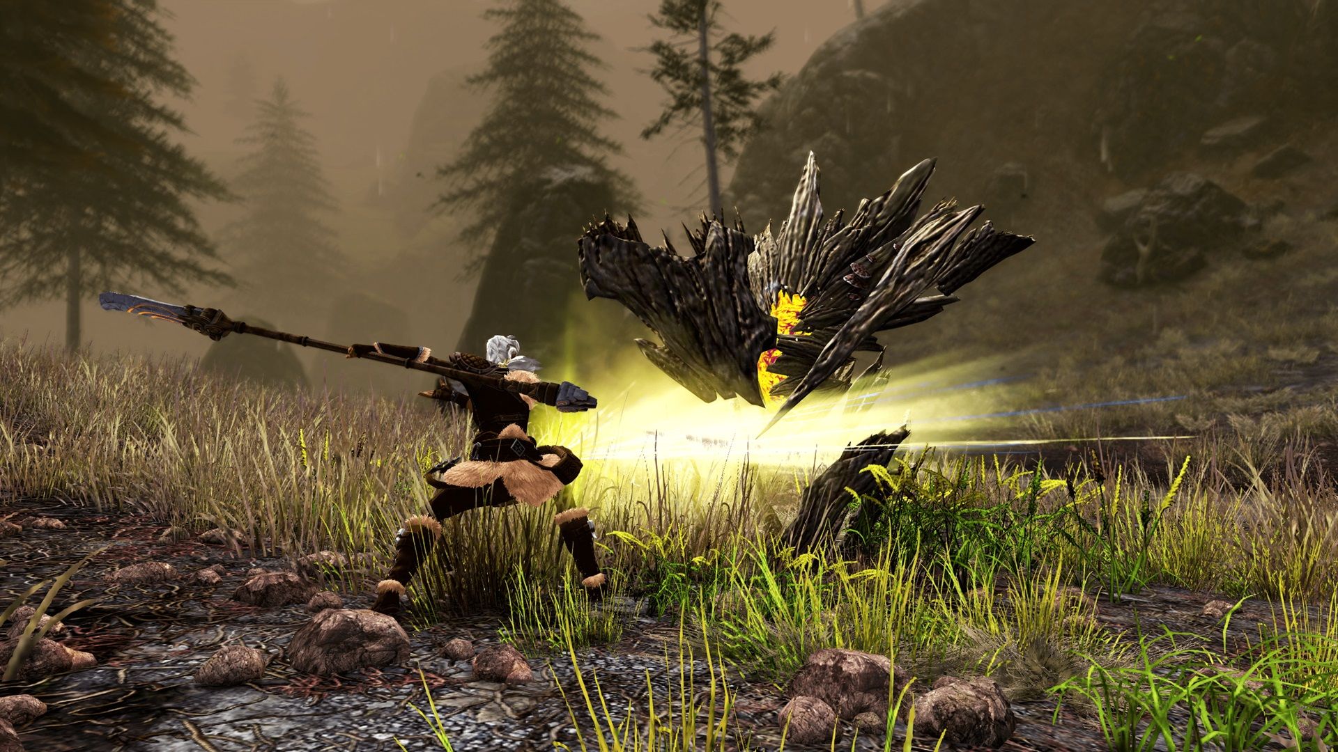 GW2_JW_PR_13